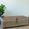 Kirst - diivanilaud EGROS 120*60*H39cm, naturaalne Rotang