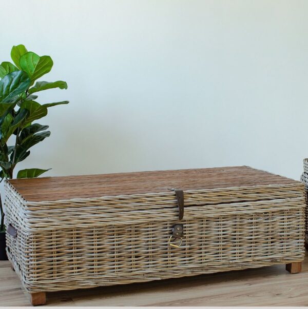 Kirst - diivanilaud EGROS 120*60*H39cm, naturaalne Rotang